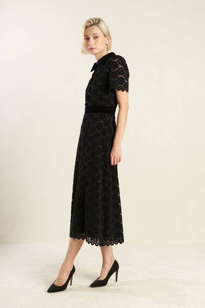 Woven Lace Midi Dress