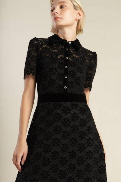 Woven Lace Midi Dress