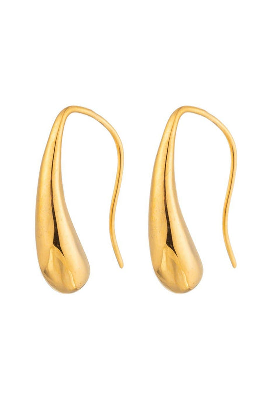 Delicate Drop Style Earrings