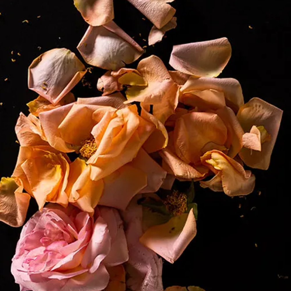 Perfume Rosas Frescas