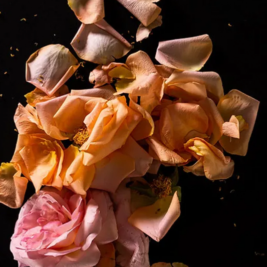 Perfume Rosas Frescas